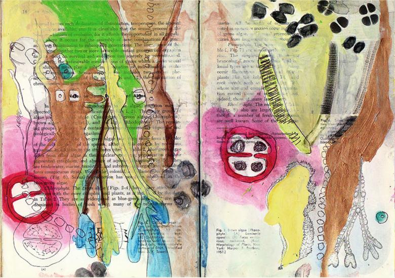 Biological Book. Watercolor, ink, collage and pencil on paper, 8 x 12 in (20 x 30.5 cm). Fig. 275