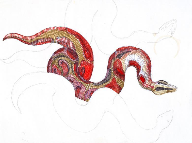 Snakes. Permanent markers on paper, 24x18in - 45.3x61cm. Fig. 118