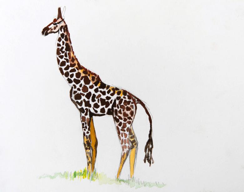 Giraffe. Gouache and pencil on art paper, 9X11.5in - 22.8x29cm. Fig. 228